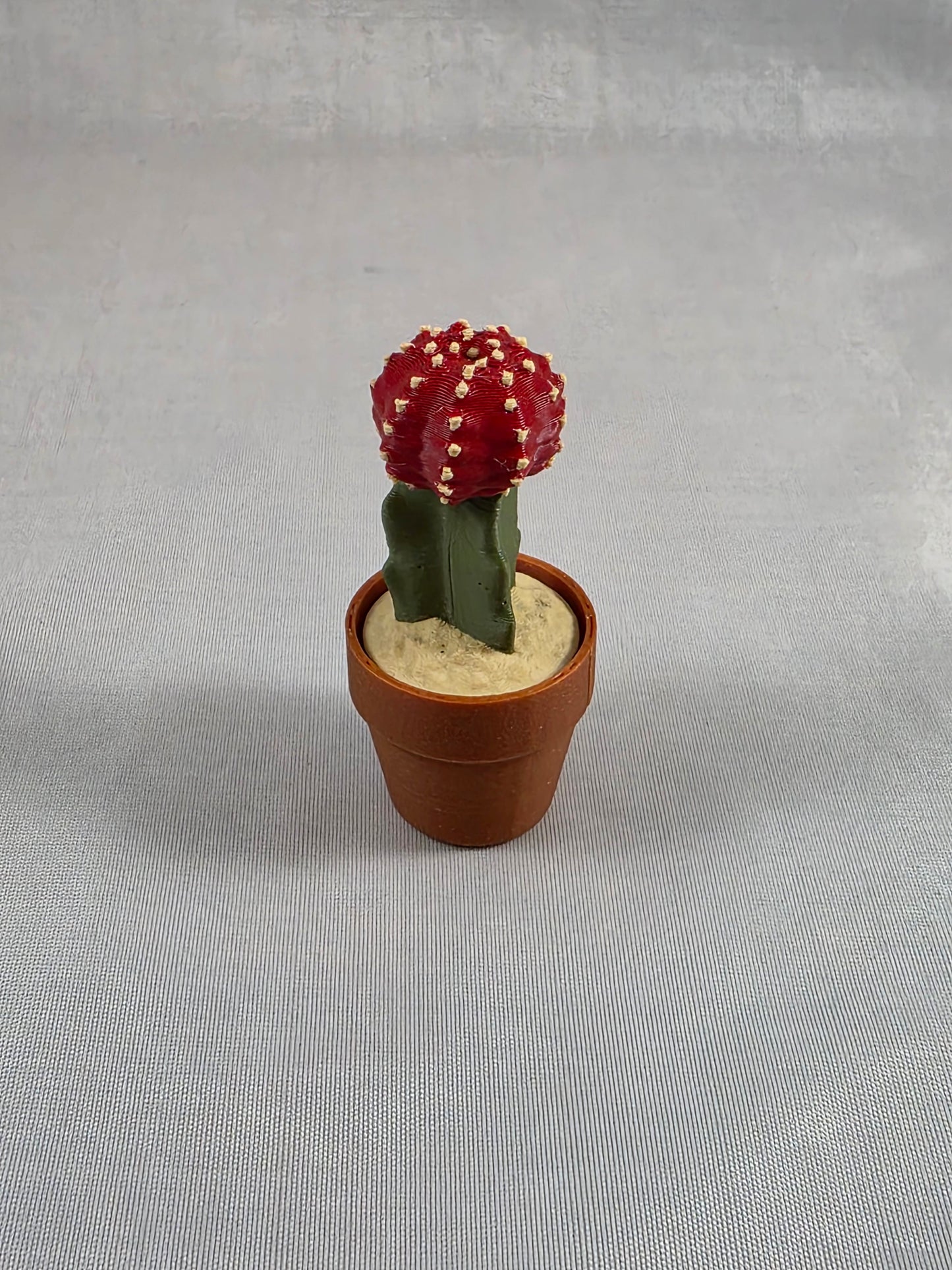 Cactus Clickers