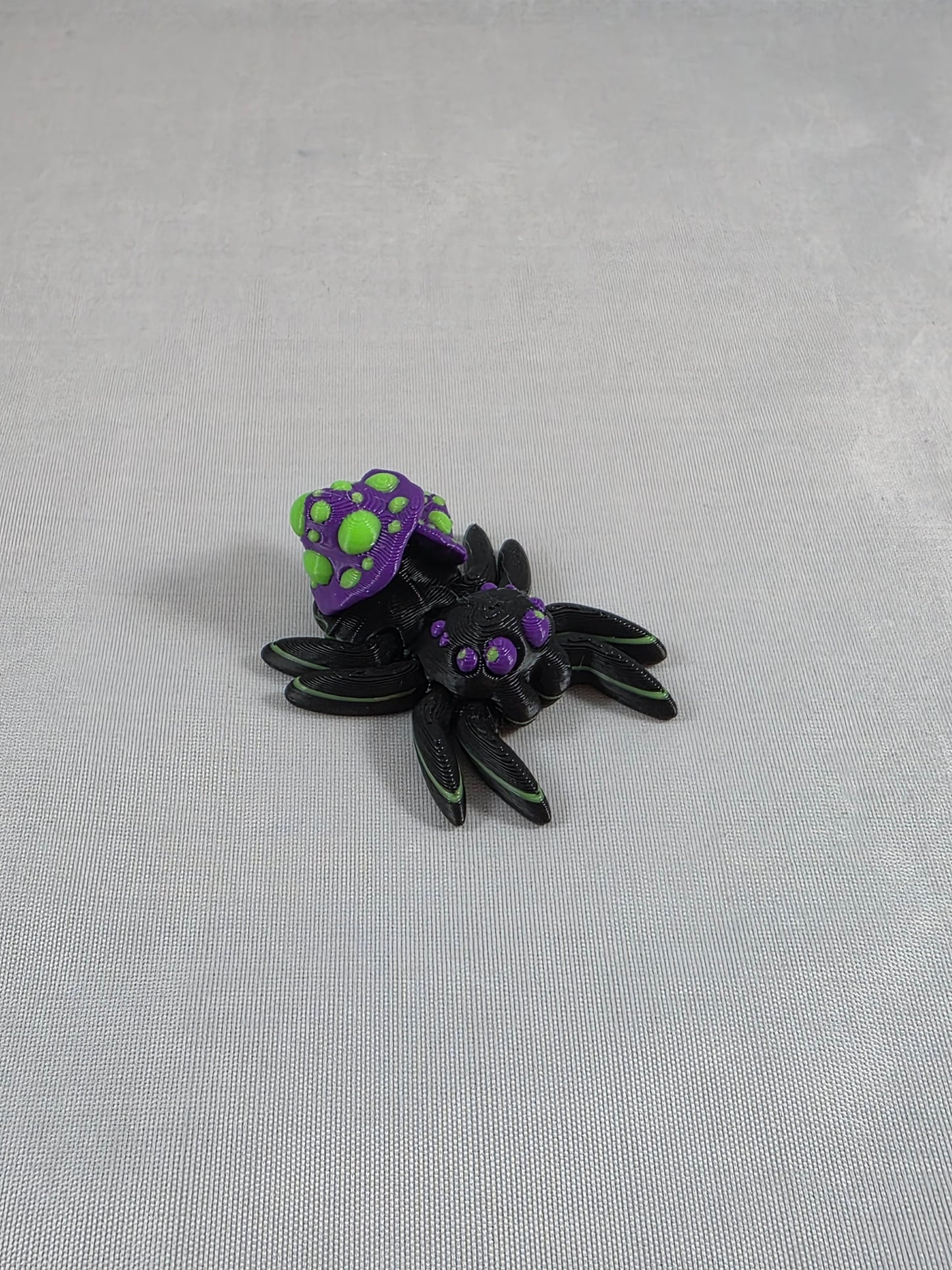 Baby Jumping Spider