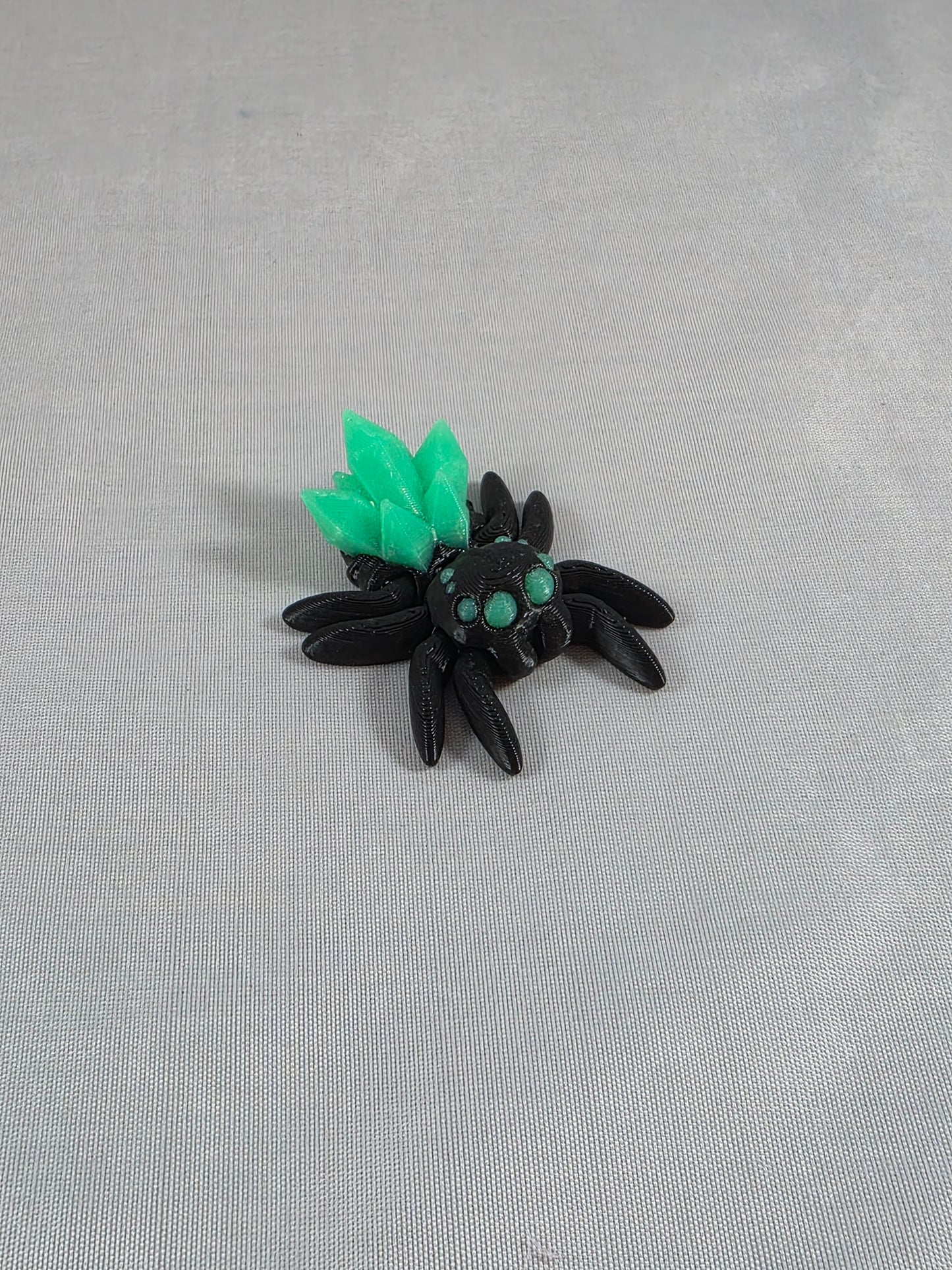 Baby Jumping Spider