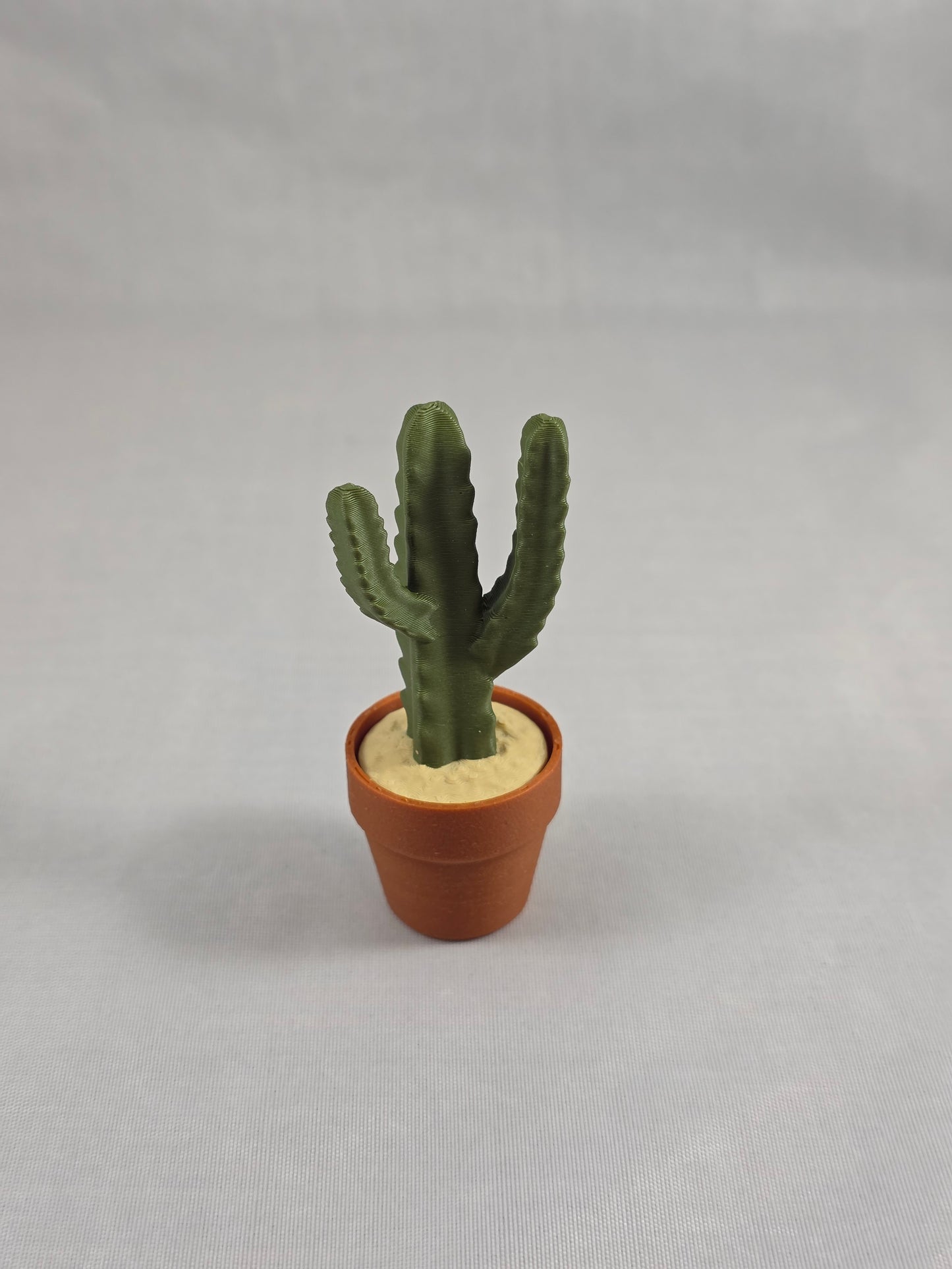 Cactus Clickers