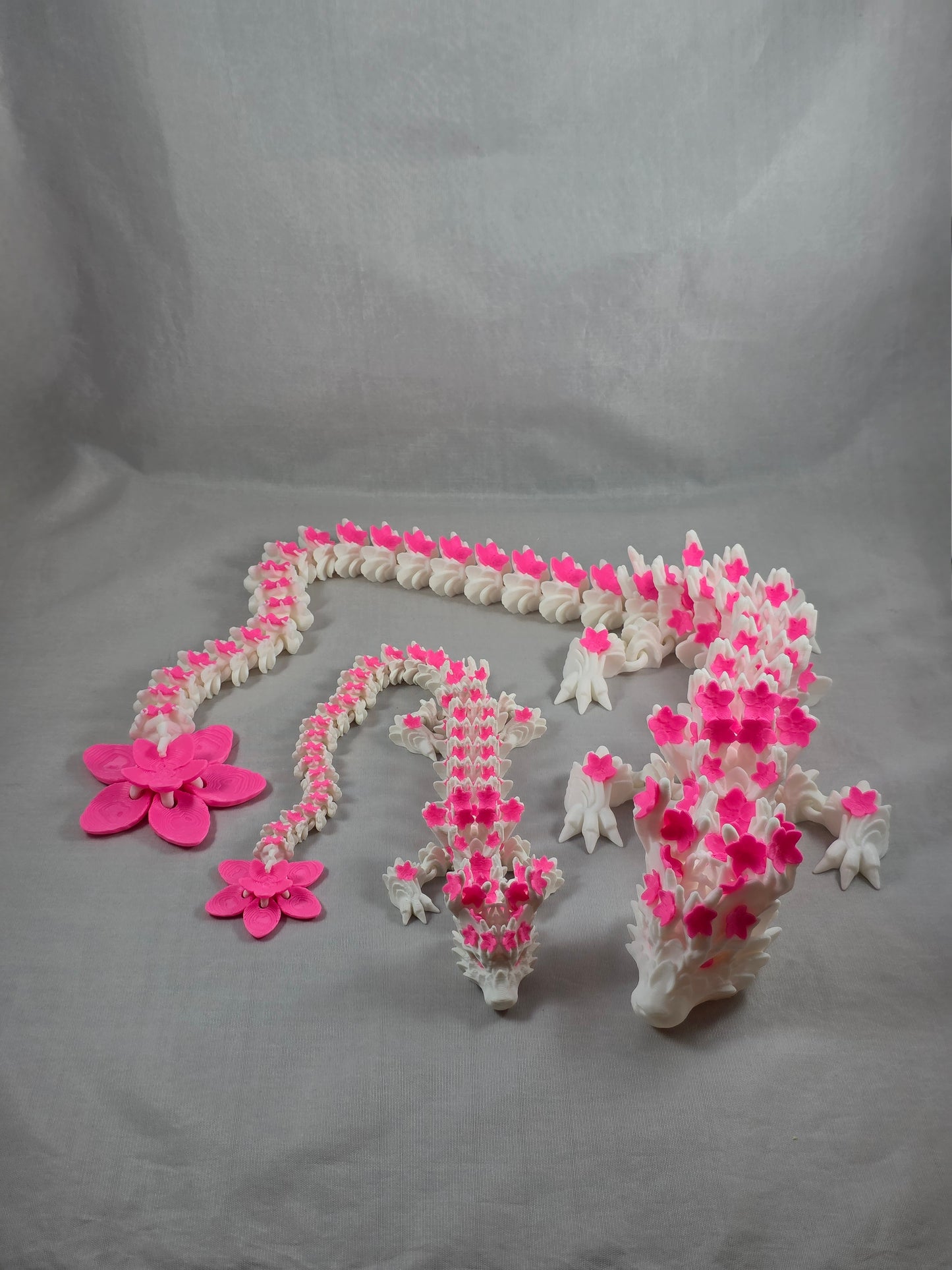 Cherry Blossom Dragon