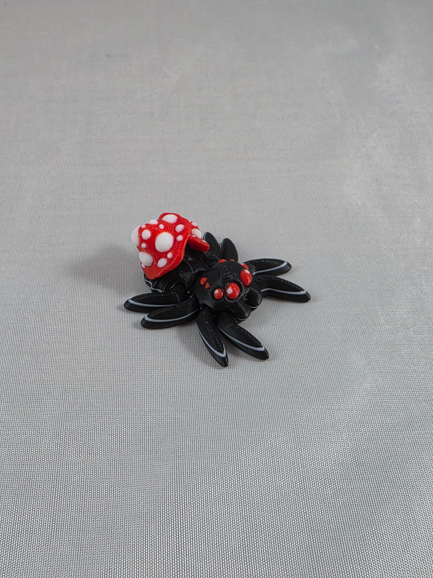 Baby Jumping Spider