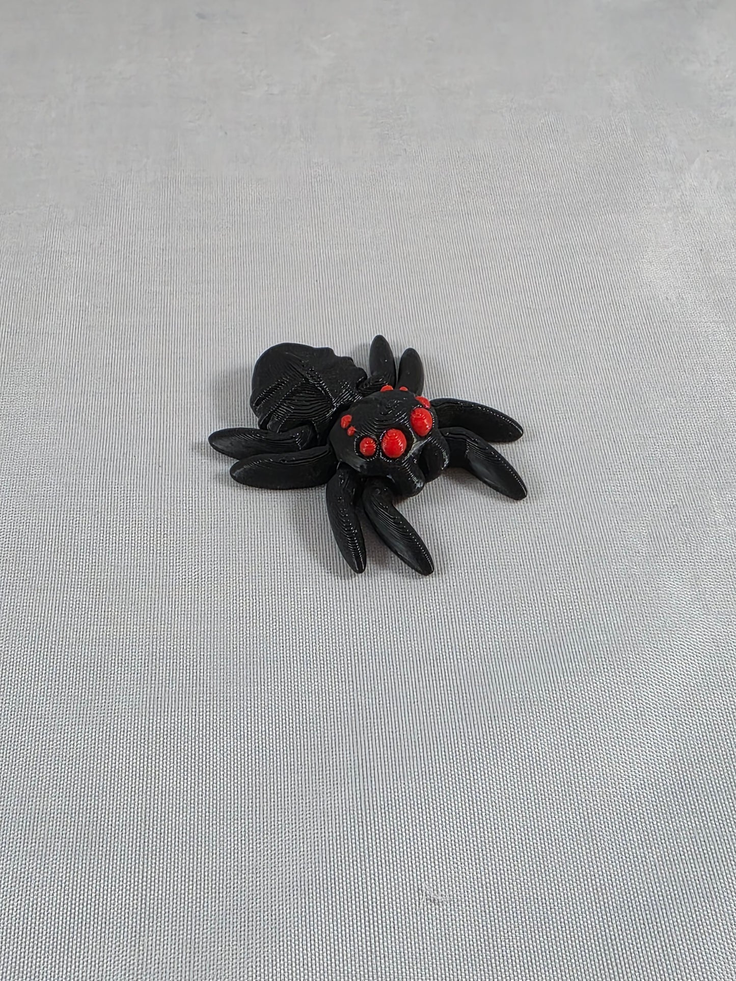 Baby Jumping Spider