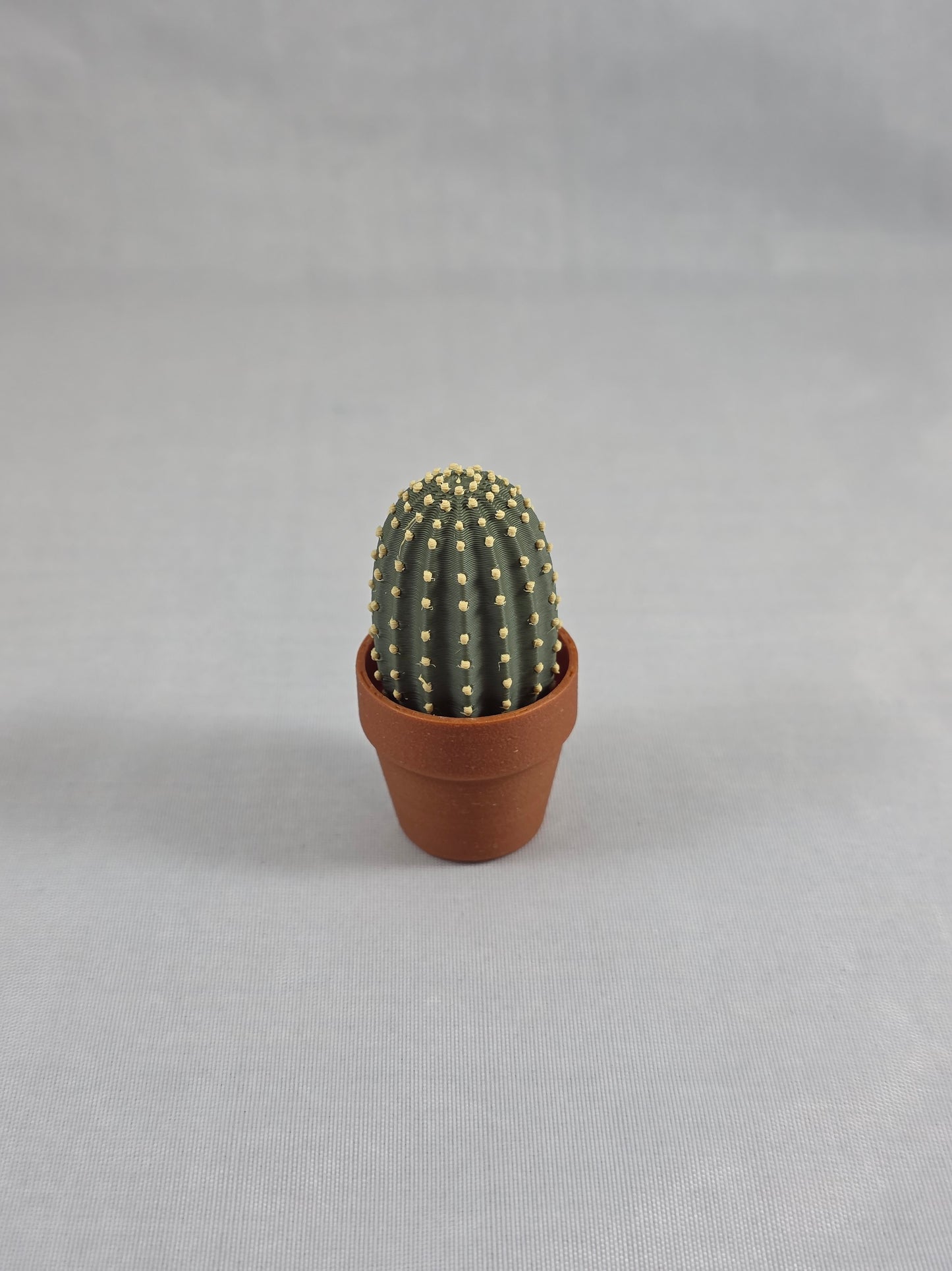Cactus Clickers