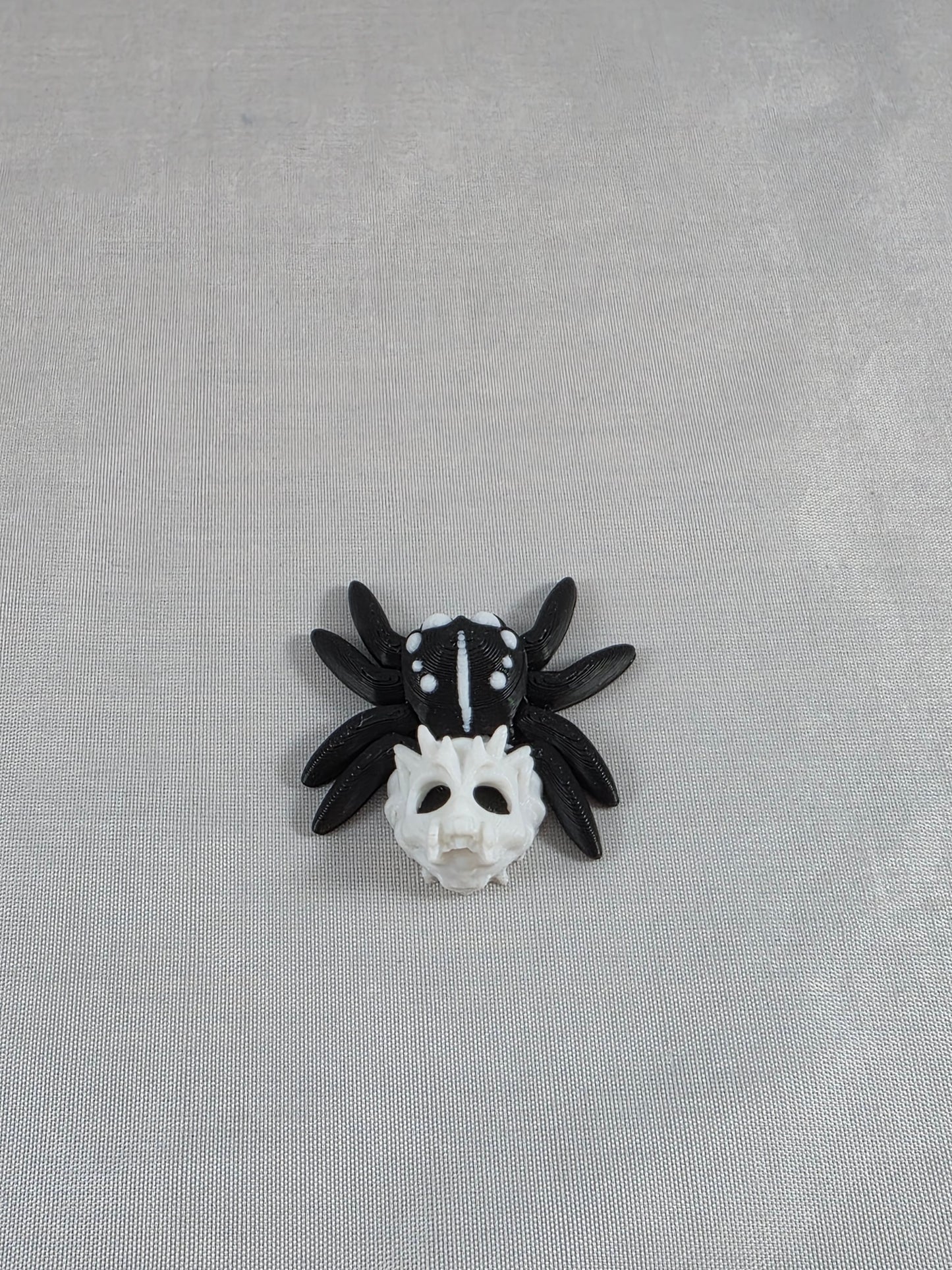 Baby Jumping Spider