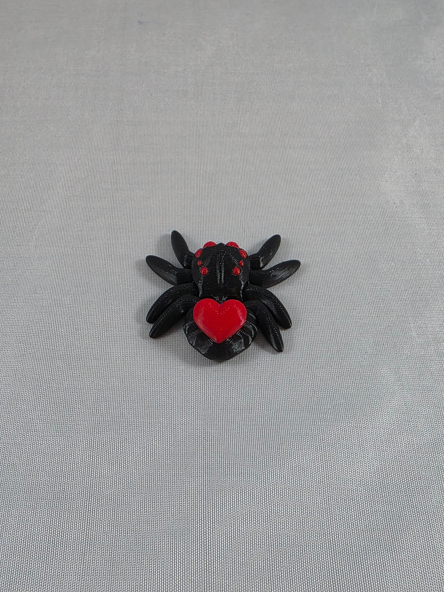 Baby Jumping Spider
