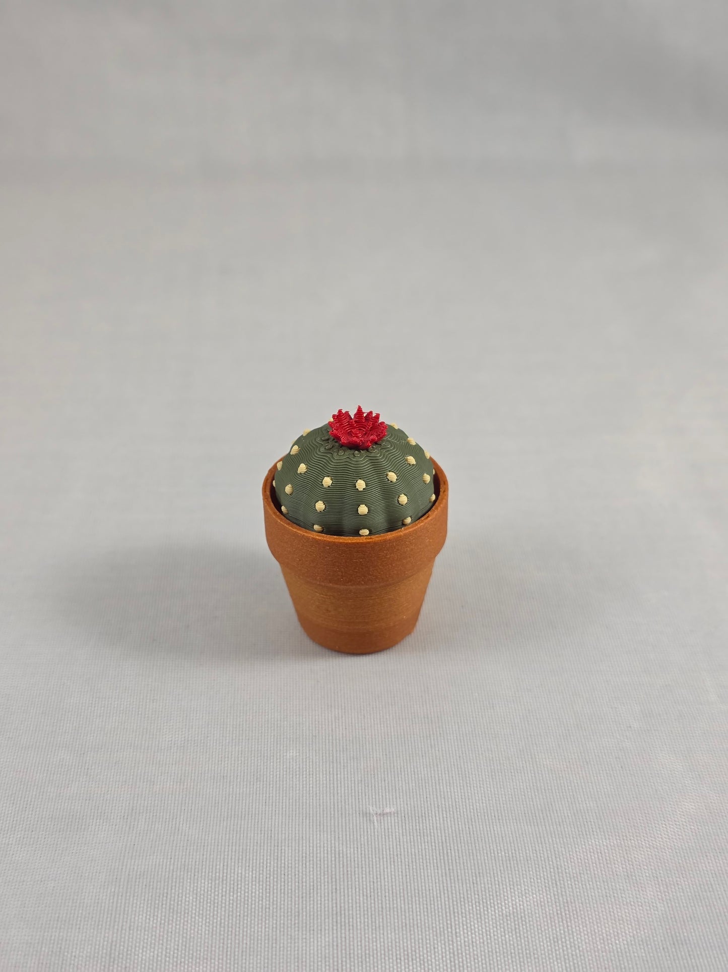 Cactus Clickers