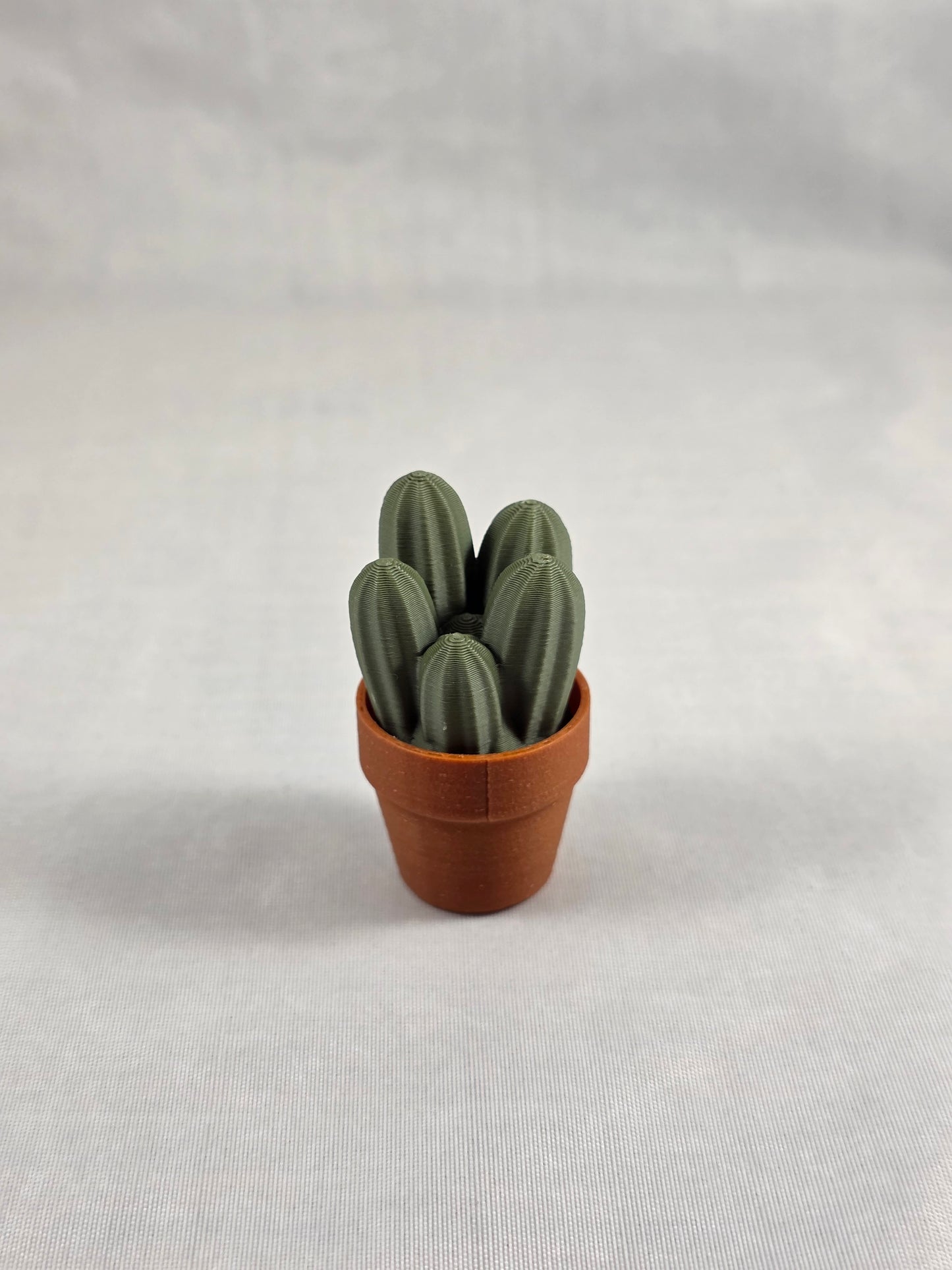 Cactus Clickers