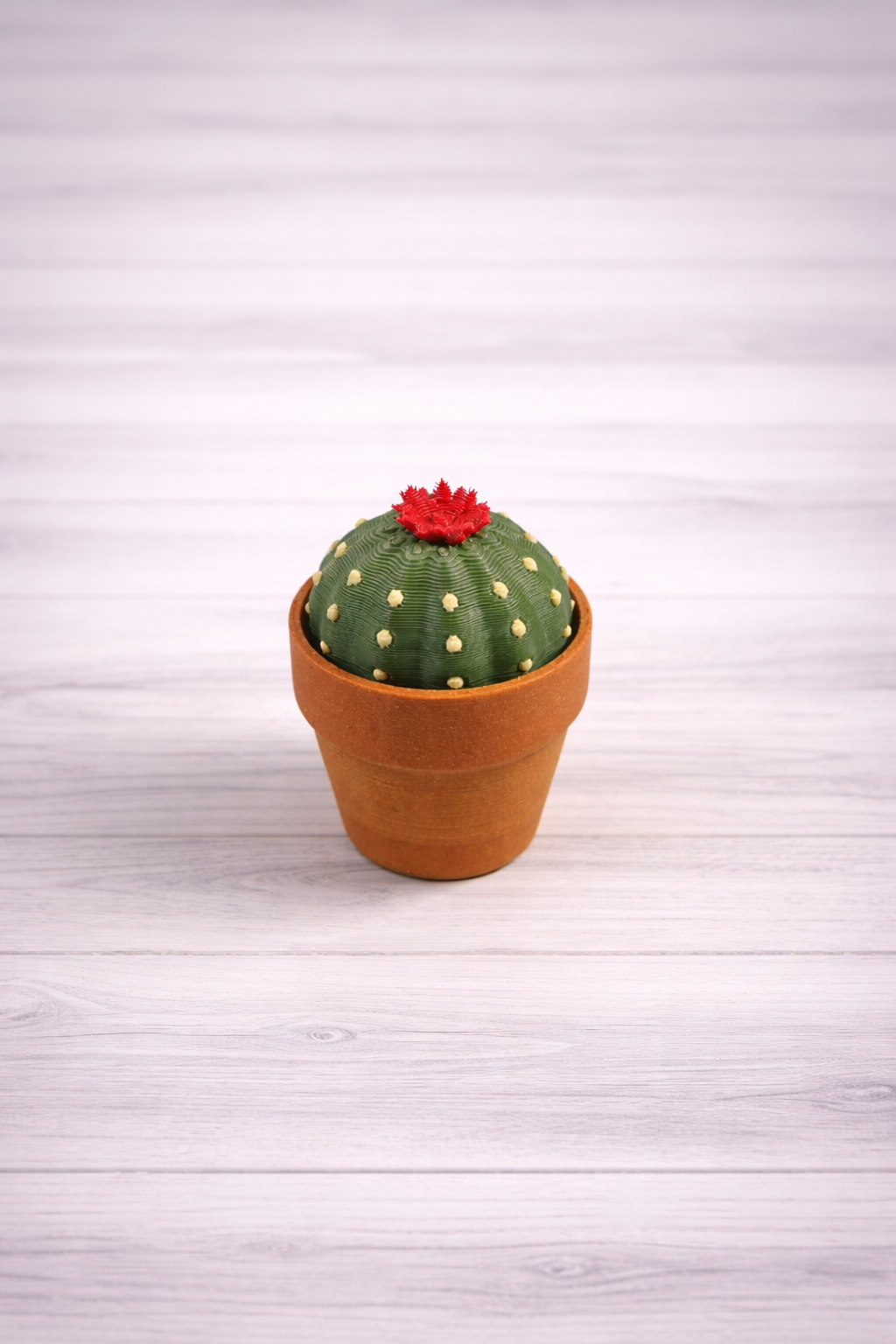 Cactus Clickers