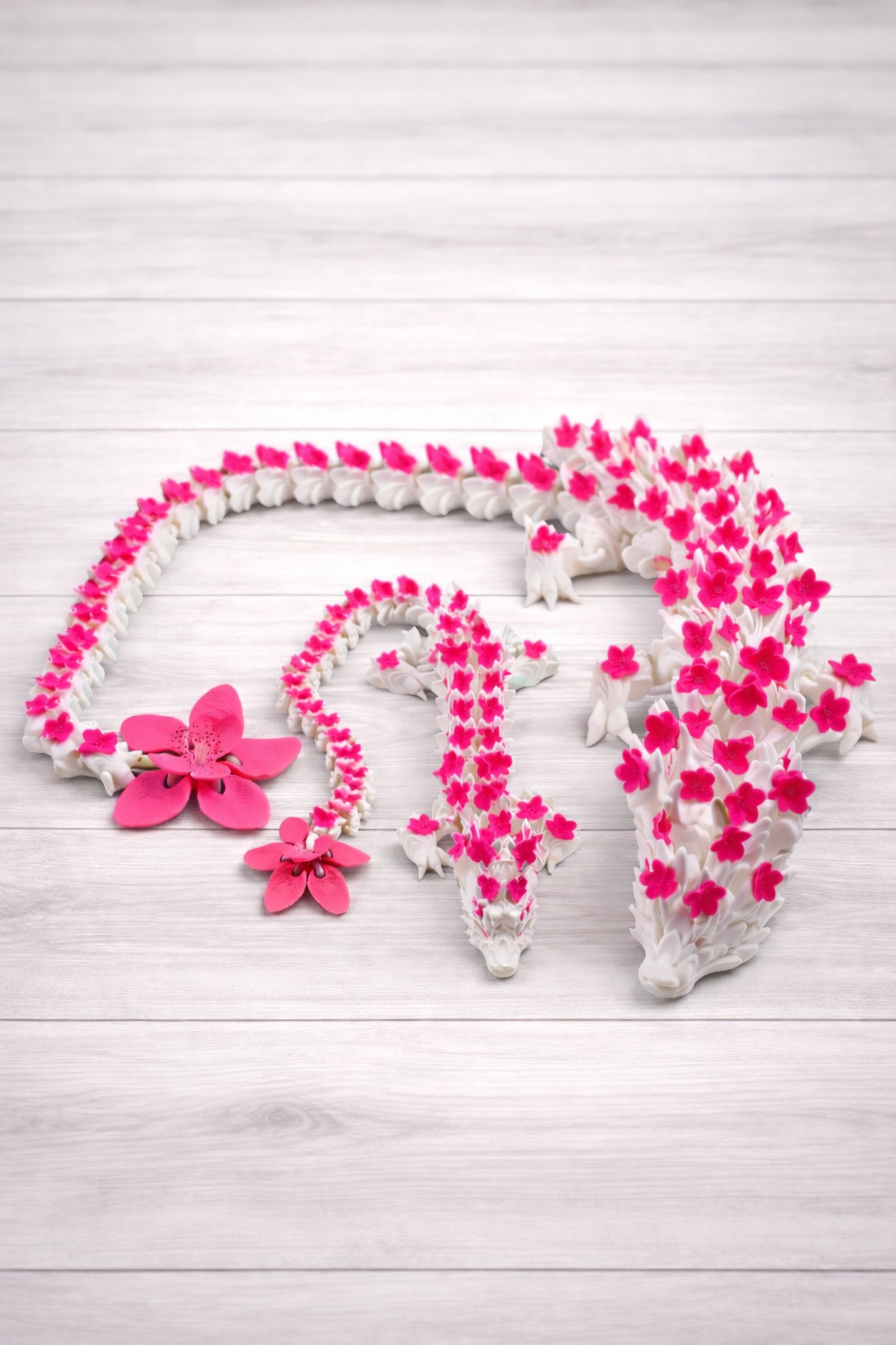 Cherry Blossom Dragon