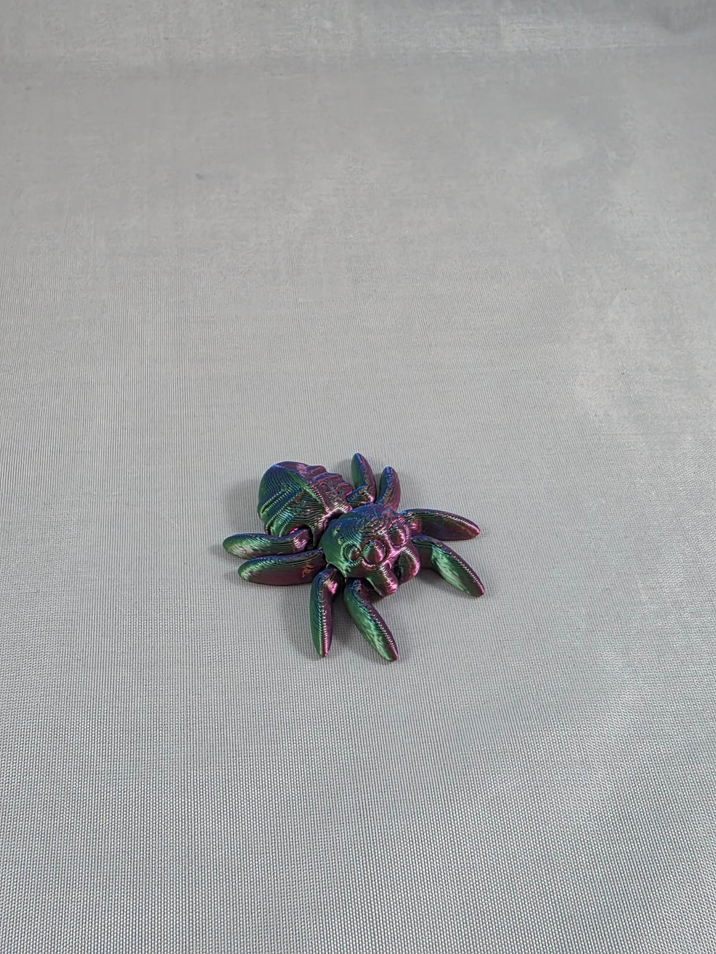 Baby Jumping Spider