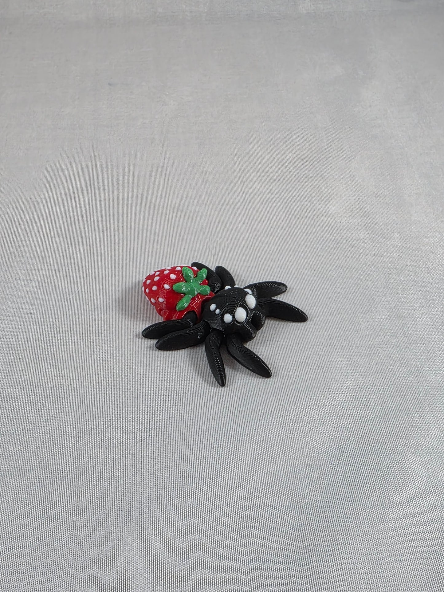 Baby Jumping Spider