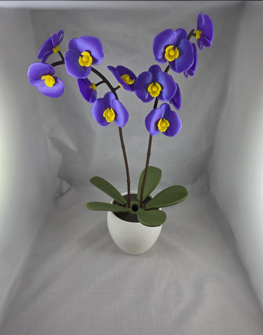 Orchid Reed Diffuser